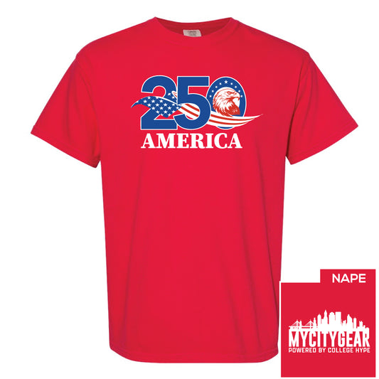 America 250 Tee